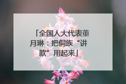 全国人大代表董月琳：把侗族“讲款”用起来