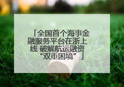 全国首个海事金融服务平台在浙上线 破解航运融资“双重困境”