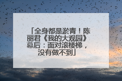 全身都是淤青！陈丽君《我的大观园》幕后：面对滚楼梯，没有做不到