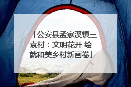公安县孟家溪镇三袁村：文明花开 绘就和美乡村新画卷