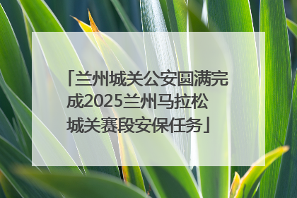 兰州城关公安圆满完成2025兰州马拉松城关赛段安保任务