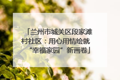 兰州市城关区段家滩村社区：用心用情绘就“幸福家园”新画卷