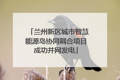 兰州新区城市智慧能源岛协同耦合项目成功并网发电