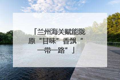 兰州海关赋能陇原“甘味”香飘“一带一路”