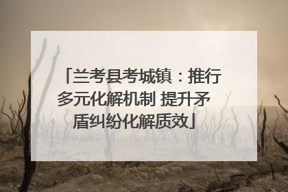 兰考县考城镇：推行多元化解机制 提升矛盾纠纷化解质效