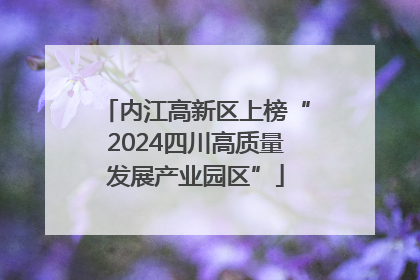 内江高新区上榜“2024四川高质量发展产业园区”