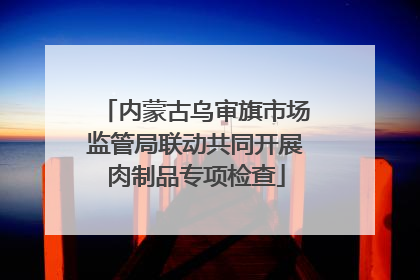内蒙古乌审旗市场监管局联动共同开展肉制品专项检查