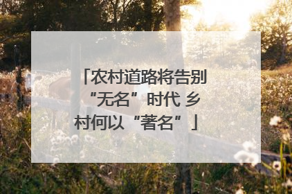 农村道路将告别“无名”时代 乡村何以“著名”