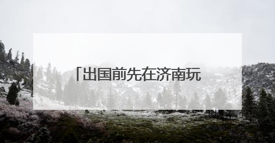 出国前先在济南玩一圈，济南机场首迎国际中转旅游团