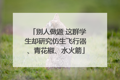 别人做题 这群学生却研究仿生飞行器、青花椒、水火箭