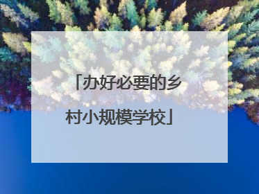 办好必要的乡村小规模学校