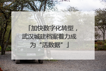 加快数字化转型，武汉城建档案着力成为“活数据”