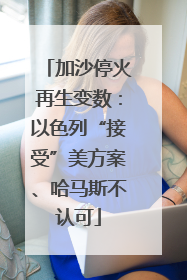 加沙停火再生变数：以色列“接受”美方案、哈马斯不认可