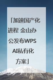 加速国产化进程 金山办公发布WPS AI私有化方案