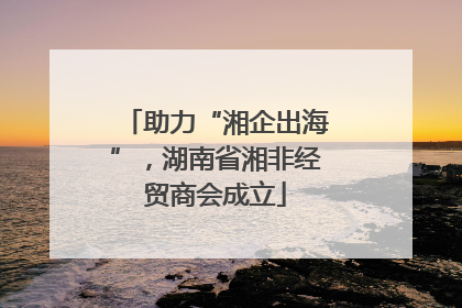 助力“湘企出海”，湖南省湘非经贸商会成立