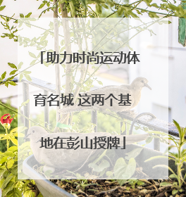 助力时尚运动体育名城 这两个基地在彭山授牌