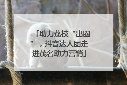 助力荔枝“出圈”，抖音达人团走进茂名助力营销