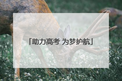 助力高考 为梦护航