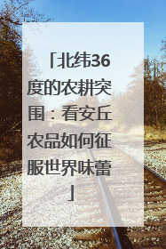 北纬36度的农耕突围：看安丘农品如何征服世界味蕾