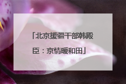 北京援疆干部韩殿臣：京情暖和田