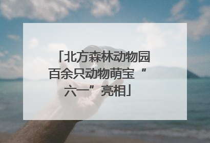 北方森林动物园百余只动物萌宝“六一”亮相