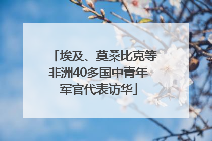 埃及、莫桑比克等非洲40多国中青年军官代表访华