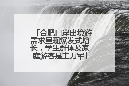 合肥口岸出境游需求呈现爆发式增长，学生群体及家庭游客是主力军