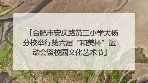 合肥市安庆路第三小学大杨分校举行第六届“和美杯”运动会暨校园文化艺术节