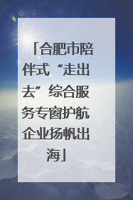 合肥市陪伴式“走出去”综合服务专窗护航企业扬帆出海