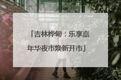 吉林桦甸：乐享嘉年华夜市焕新开市