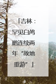 吉林：罕见白鸬鹚连续两年“故地重游”