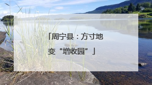 周宁县：方寸地变“增收园”