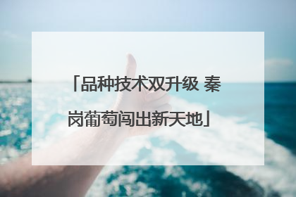 品种技术双升级 秦岗葡萄闯出新天地