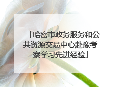 哈密市政务服务和公共资源交易中心赴豫考察学习先进经验