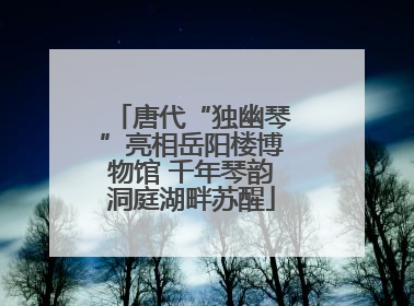 唐代“独幽琴”亮相岳阳楼博物馆 千年琴韵洞庭湖畔苏醒
