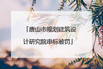 唐山市规划建筑设计研究院串标被罚