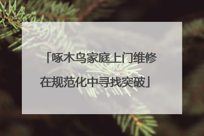 啄木鸟家庭上门维修在规范化中寻找突破