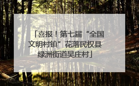 喜报！第七届“全国文明村镇”花落民权县绿洲街道吴庄村