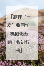 嘉祥“三夏”收割忙 机械化奏响丰收进行曲