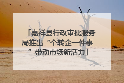 嘉祥县行政审批服务局推出“个转企一件事”带动市场新活力