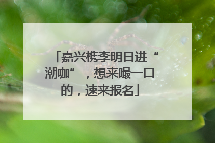 嘉兴槜李明日进“潮咖”，想来嘬一口的，速来报名