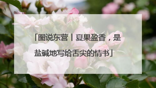 图说东营丨夏果盈香，是盐碱地写给舌尖的情书