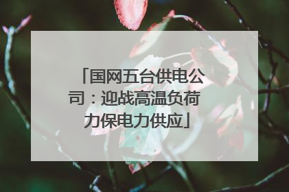 国网五台供电公司：迎战高温负荷 力保电力供应