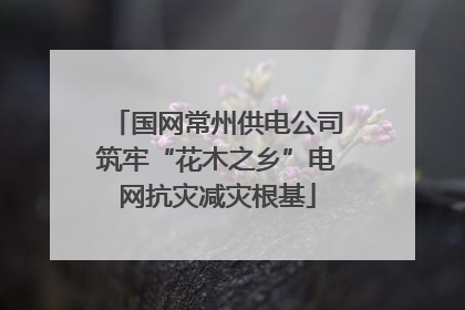 国网常州供电公司筑牢“花木之乡”电网抗灾减灾根基