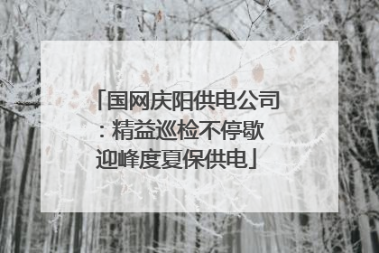 国网庆阳供电公司：精益巡检不停歇 迎峰度夏保供电