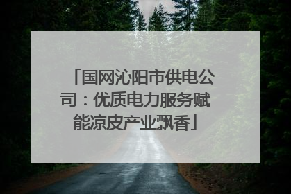 国网沁阳市供电公司：优质电力服务赋能凉皮产业飘香