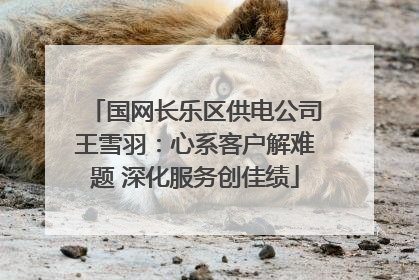 国网长乐区供电公司王雪羽：心系客户解难题 深化服务创佳绩