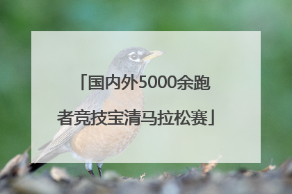 国内外5000余跑者竞技宝清马拉松赛