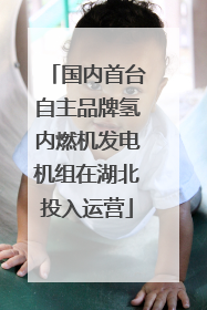 国内首台自主品牌氢内燃机发电机组在湖北投入运营