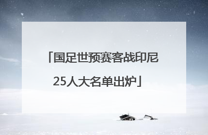 国足世预赛客战印尼25人大名单出炉